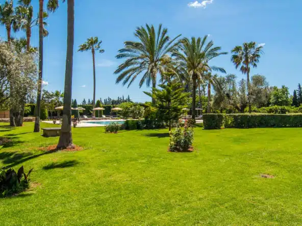 holiday finca in Binissalem garden